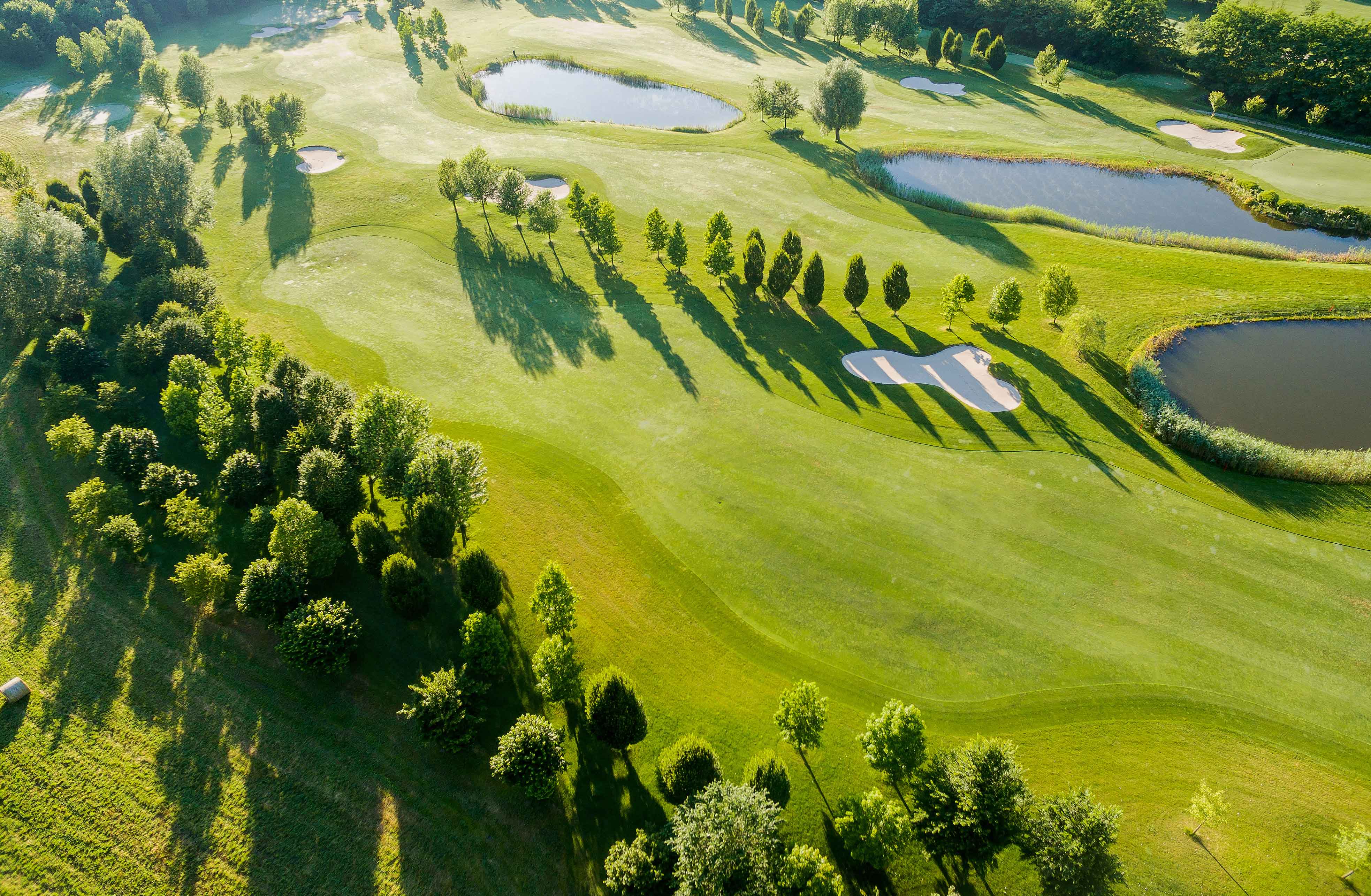 Herbicides - Golf Turf