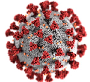 50 State Coronavirus Update